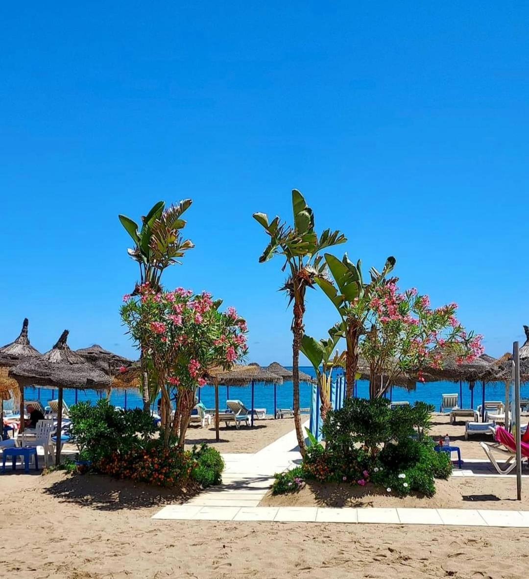 Luxury Beachfront Apartment With Pool, Sauna, Fitness And Gym In Province Malaga, Andalusia มิฮาส ภายนอก รูปภาพ