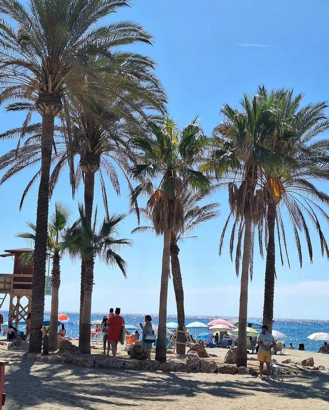 Luxury Beachfront Apartment With Pool, Sauna, Fitness And Gym In Province Malaga, Andalusia มิฮาส ภายนอก รูปภาพ